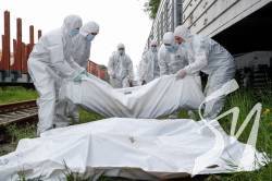 ����� ��������� ����������� ����� ��������. ����� ������ ����� �� ������, � �������